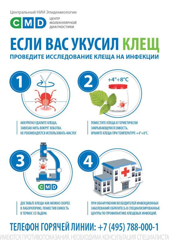 pamyatka-kleshi.jpg